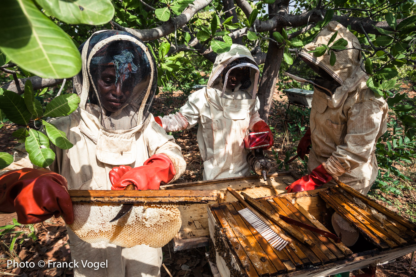 Burkina-Faso-Apiculture-Franck-Vogel-9
