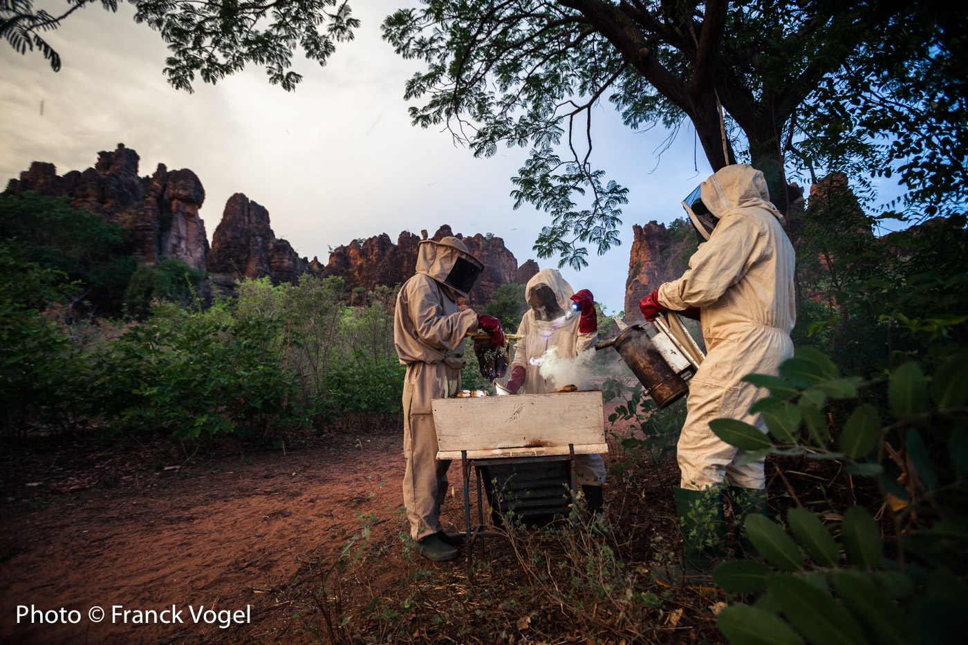 Burkina-Faso-Miel-Franck-Vogel-34